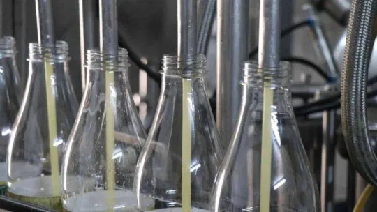 Propolis ile neredeyse eşdeğer olan şifa deposu: 'Boza'