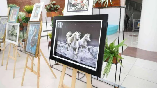 Pursaklar'da el emeği göz nuru ürünler görücüye çıktı