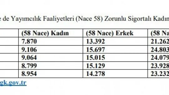 Rakamlarla Türkiye'de ve Avrupa'da 'kadın istihdamı'