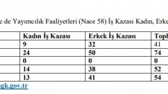 Rakamlarla Türkiye'de ve Avrupa'da 'kadın istihdamı'