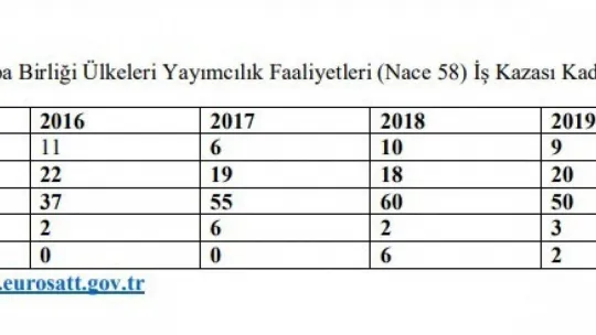 Rakamlarla Türkiye'de ve Avrupa'da 'kadın istihdamı'