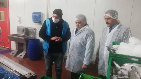 Rusya, Almanya, Çekya gibi ülkelere alabalık ihracatı yapıyor