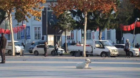 Saat 09.05'te Sakarya'da hayat durdu