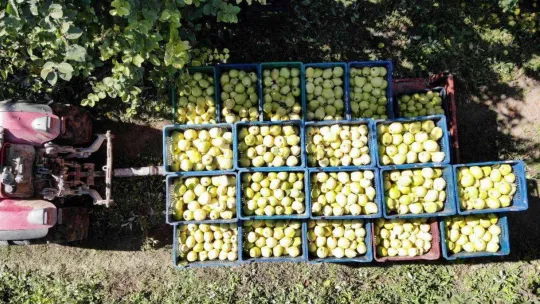 Sakarya'da 2022 yılı böyle geçti