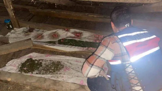 Sakarya'da jandarma ekipleri uyuşturucuya geçit vermiyor