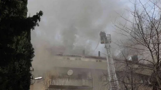 Sakarya'da mahalleliyi sokağa döken yangın: Ekipler seferber oldu