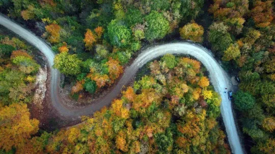 Sakarya'da sonbahar güzelliği