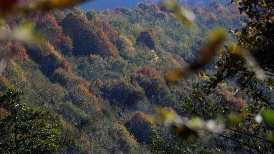 Sakarya'da sonbahar güzelliği