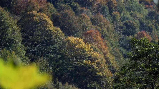 Sakarya'da sonbahar güzelliği