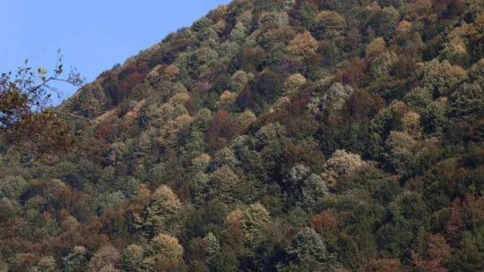 Sakarya'da sonbahar güzelliği