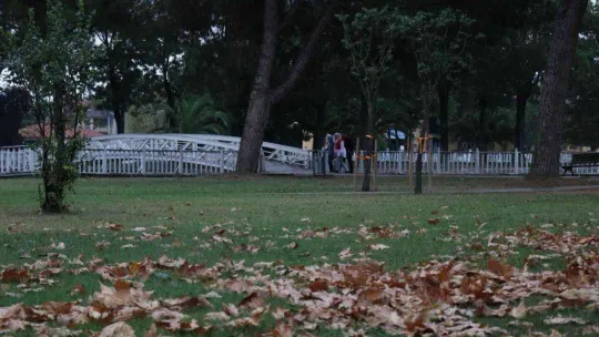 Sakarya'da sonbahar manzarası