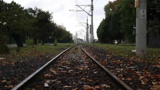 Sakarya'da sonbahar manzarası