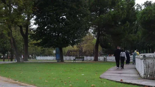 Sakarya'da sonbahar manzarası