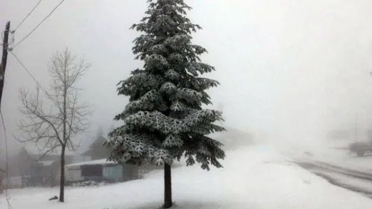 Sakarya'da yüksek kesimler beyaza büründü