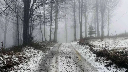Sakarya'da yüksek kesimler beyaza büründü