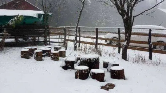 Sakarya'da yüksek kesimler beyaza büründü