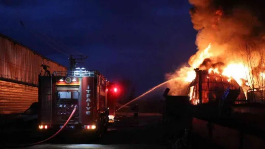 Sakarya'daki korkutan yangın havadan görüntülendi