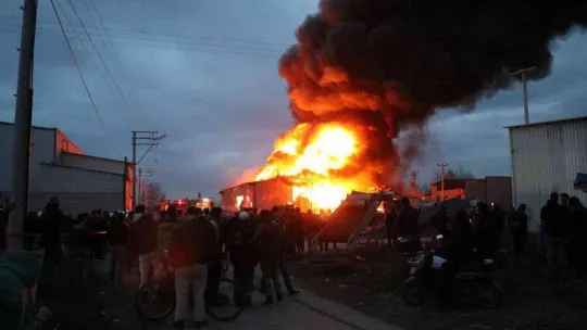 Sakarya'daki korkutan yangın havadan görüntülendi
