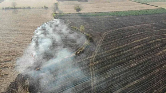 Sakarya'nın korkulu rüyası anız yangınları ekipleri harekete geçirdi