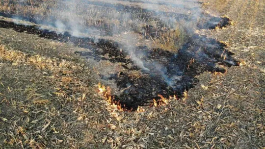 Sakarya'nın korkulu rüyası anız yangınları ekipleri harekete geçirdi