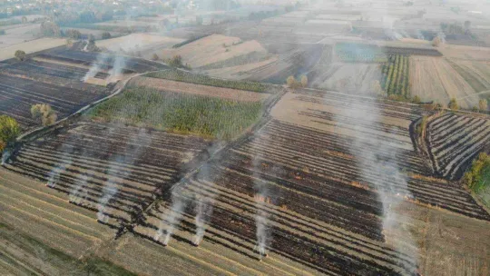 Sakarya'nın korkulu rüyası anız yangınları ekipleri harekete geçirdi