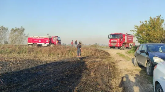 Sakarya'nın korkulu rüyası anız yangınları ekipleri harekete geçirdi
