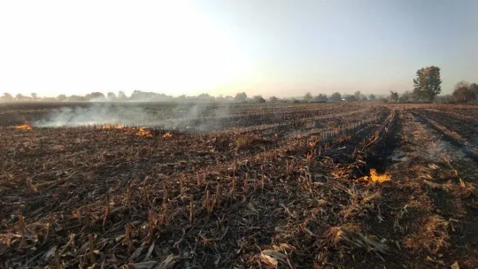 Sakarya'nın korkulu rüyası anız yangınları ekipleri harekete geçirdi