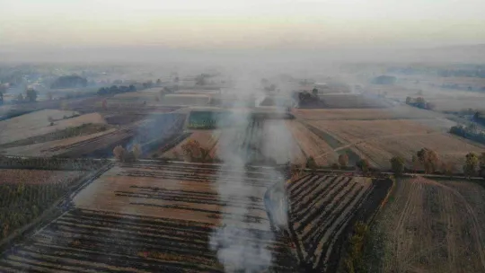 Sakarya'nın korkulu rüyası anız yangınları ekipleri harekete geçirdi