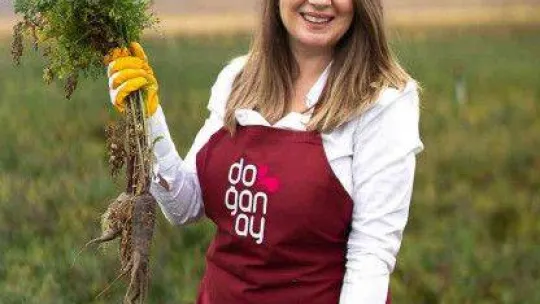 Şalgam suyunun yolculuğu, Konya'daki mor havuç hasadı ile başladı