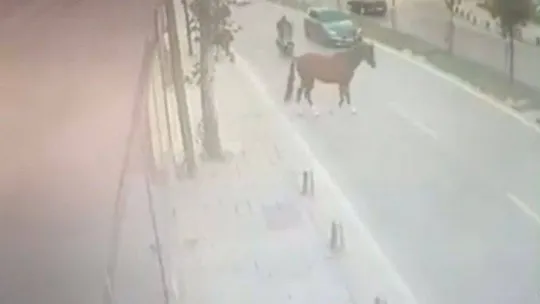 Sancaktepe'de yola çıkan başıboş ata motosiklet çarptı