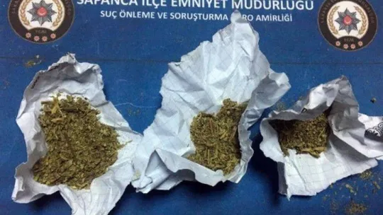 Sapanca'da trafik kurallarına uymayan 534 kişiye ceza yağdı