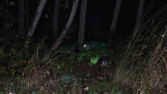 Şarampole yuvarlanan otomobil ağaca çarparak durabildi: 2 yaralı