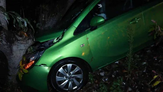 Şarampole yuvarlanan otomobil ağaca çarparak durabildi: 2 yaralı