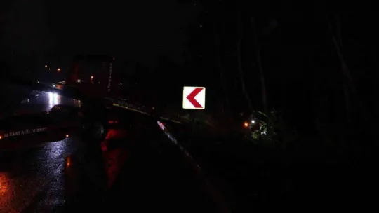 Şarampole yuvarlanan otomobil ağaca çarparak durabildi: 2 yaralı