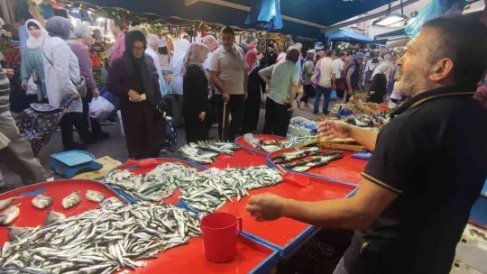 Sardalya 20 liraya düştü, vatandaşlar poşetleri doldurdu