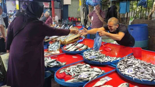 Sardalya 20 liraya düştü, vatandaşlar poşetleri doldurdu