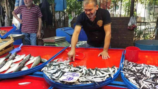 Sardalya 20 liraya düştü, vatandaşlar poşetleri doldurdu