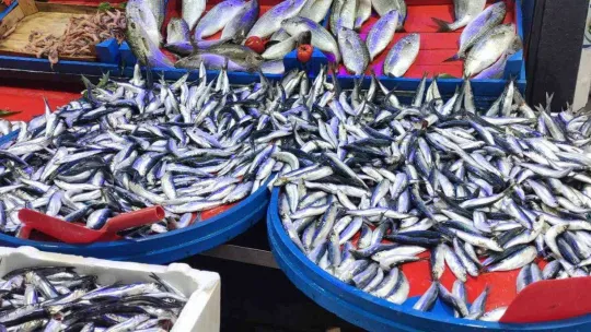 Sardalya 20 liraya düştü, vatandaşlar poşetleri doldurdu