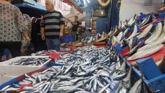 Sardalya 20 liraya düştü, vatandaşlar poşetleri doldurdu