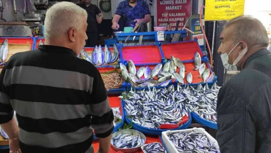 Sardalya 20 liraya düştü, vatandaşlar poşetleri doldurdu