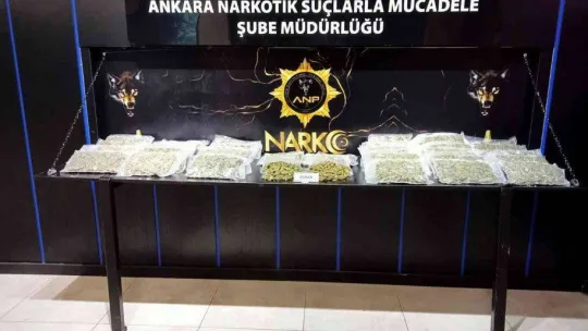 Sargı bezi yüklü tırdan 12 kilo esrar çıktı