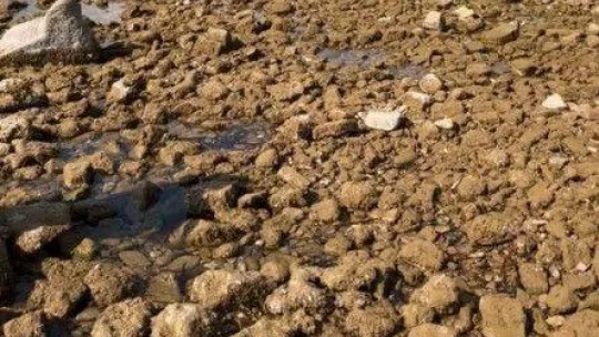 Saros Körfezi'nde deniz suyu çekildi