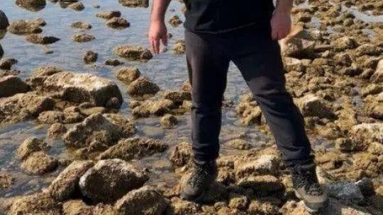 Saros Körfezi'nde deniz suyu çekildi