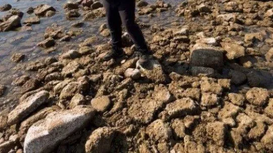 Saros Körfezi'nde deniz suyu çekildi