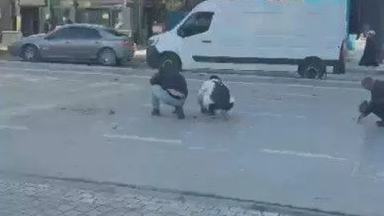 Scooterın koluna taktığı poşet yırtılınca paraları yola saçıldı