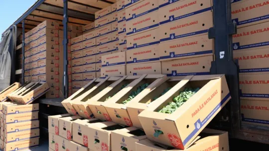 İBB'nin destekleri İstanbullu çiftçileri üretime döndürdü