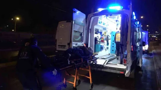 Sebze-meyve haline giderken kaza yaptılar