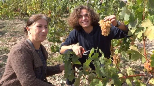 Şehir stresinden bağ bozarak kurtuldular