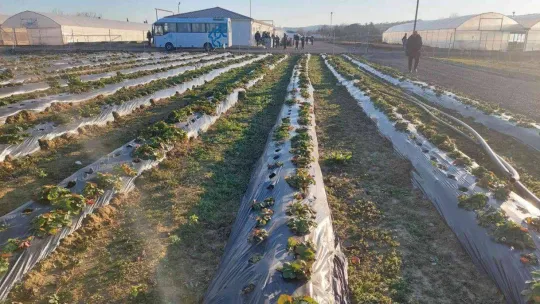 Şehrin dibinde 120 dönümlük cazibe alanı