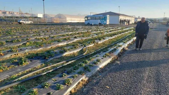 Şehrin dibinde 120 dönümlük cazibe alanı